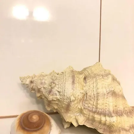 Papaj * Miedzyzdroje